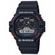 CASIO DW-5900-1DR